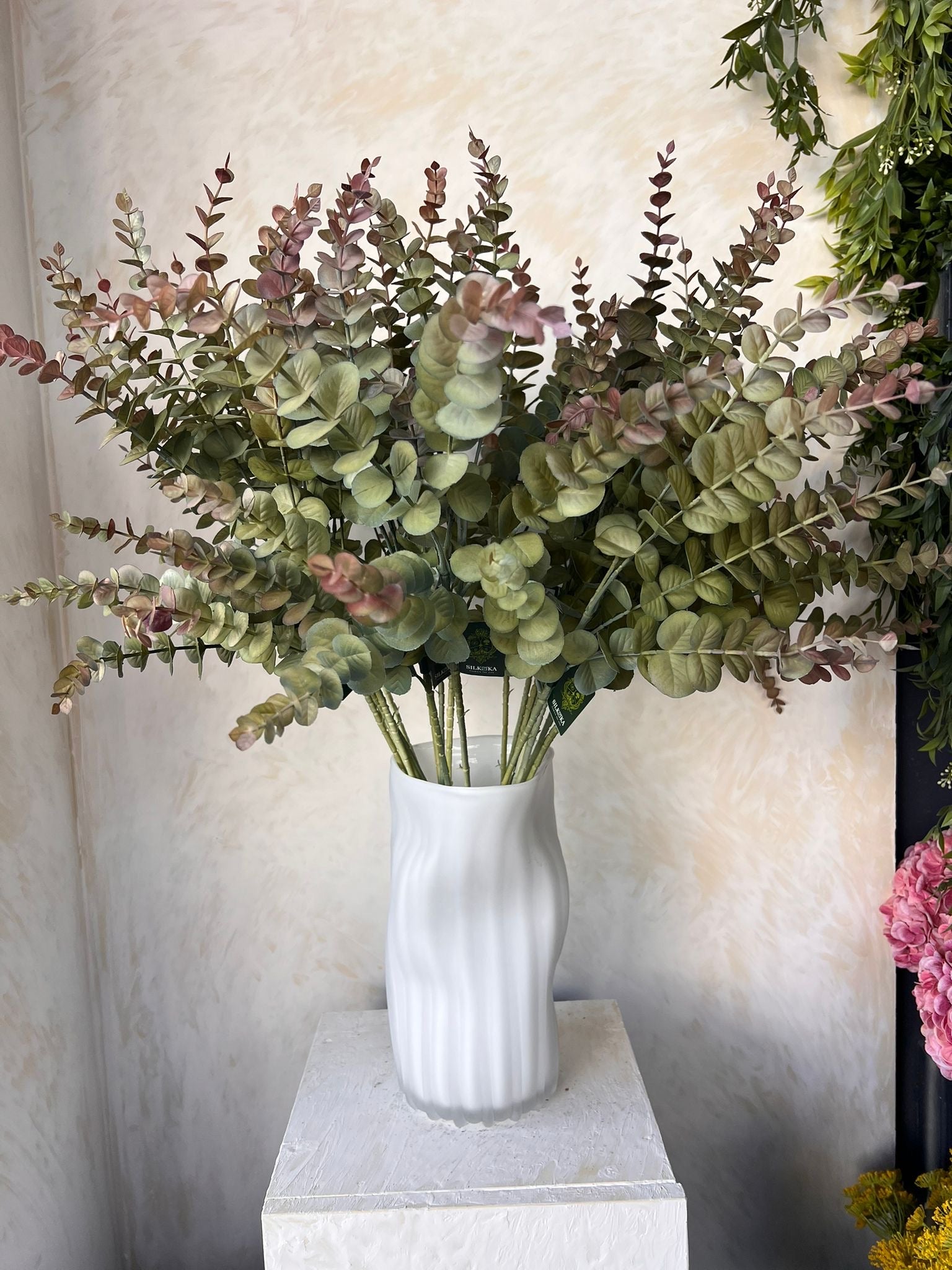 אקליפטוס ירוק\סגול