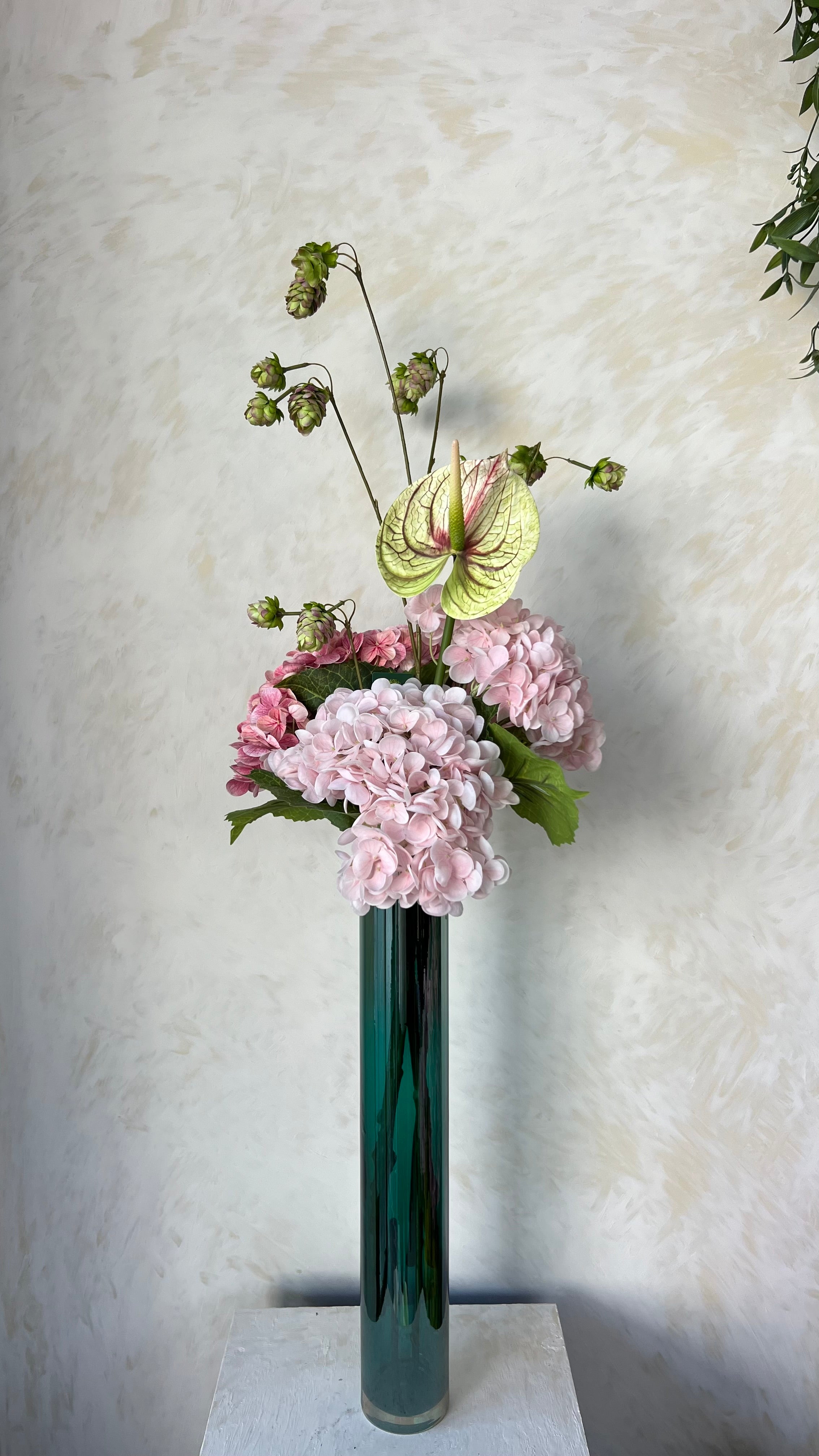 אלגנטיות לגובה