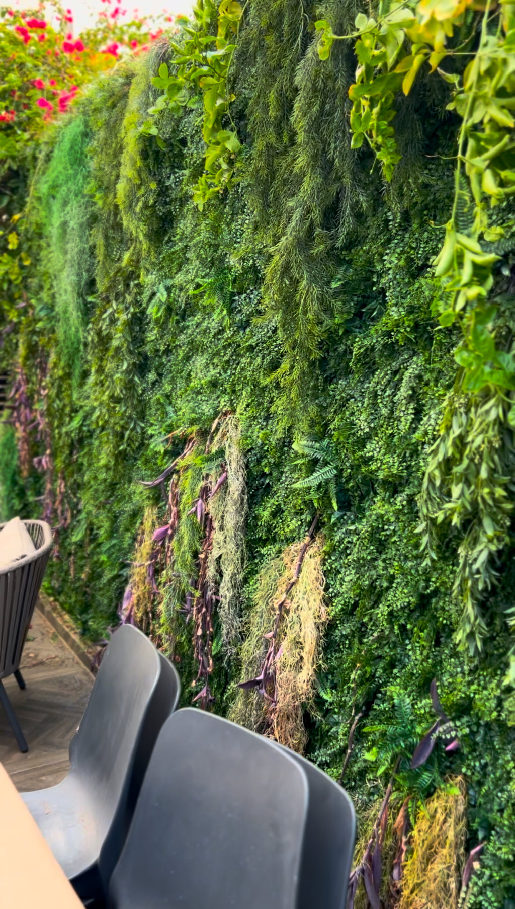 קירות ירוקים לפי מידה