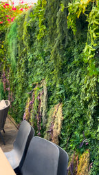 קירות ירוקים לפי מידה