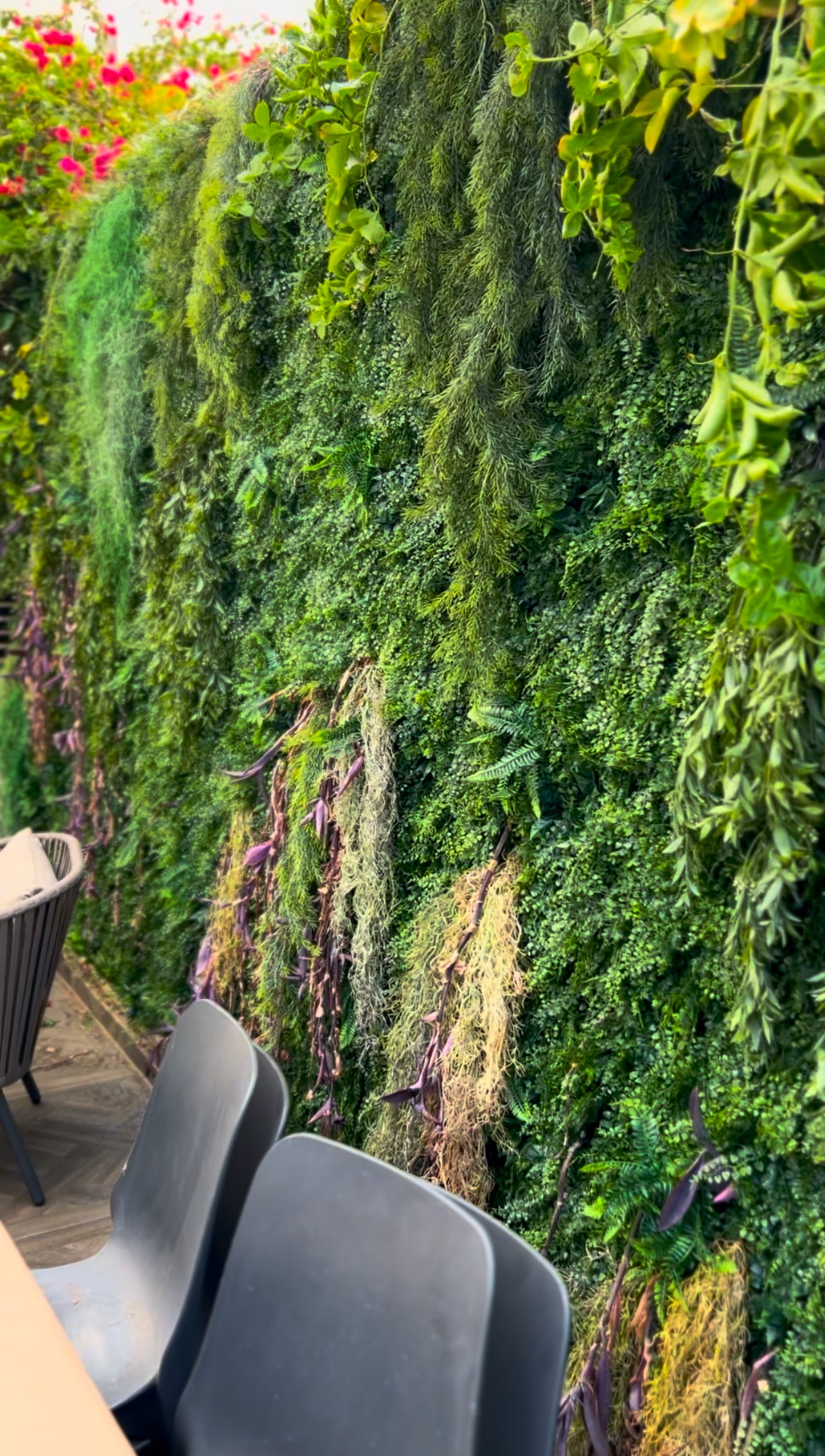 קירות ירוקים לפי מידה