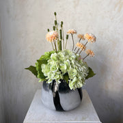 עדינות קטנה