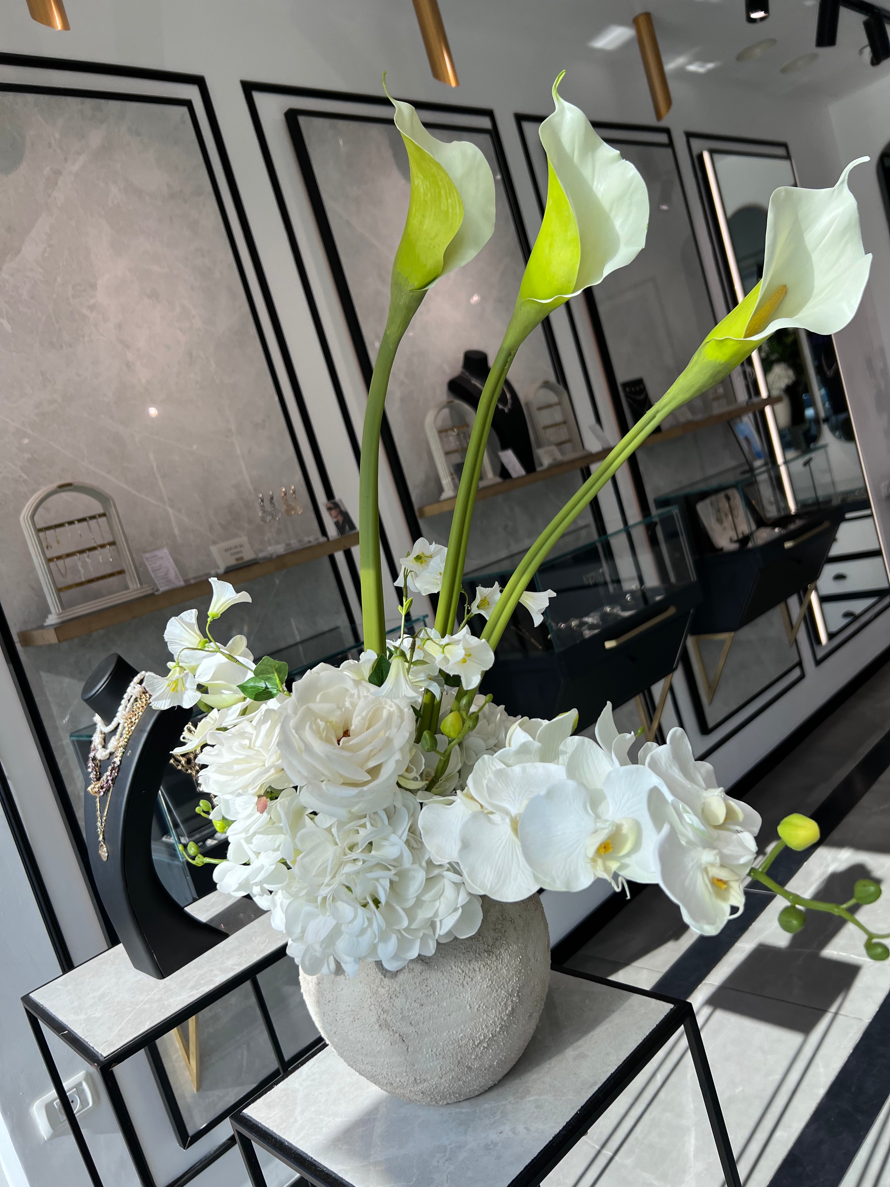 הברבור הלבן