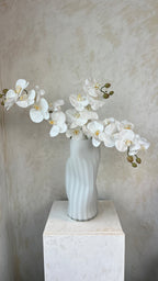 סידור סחלבים לבנים