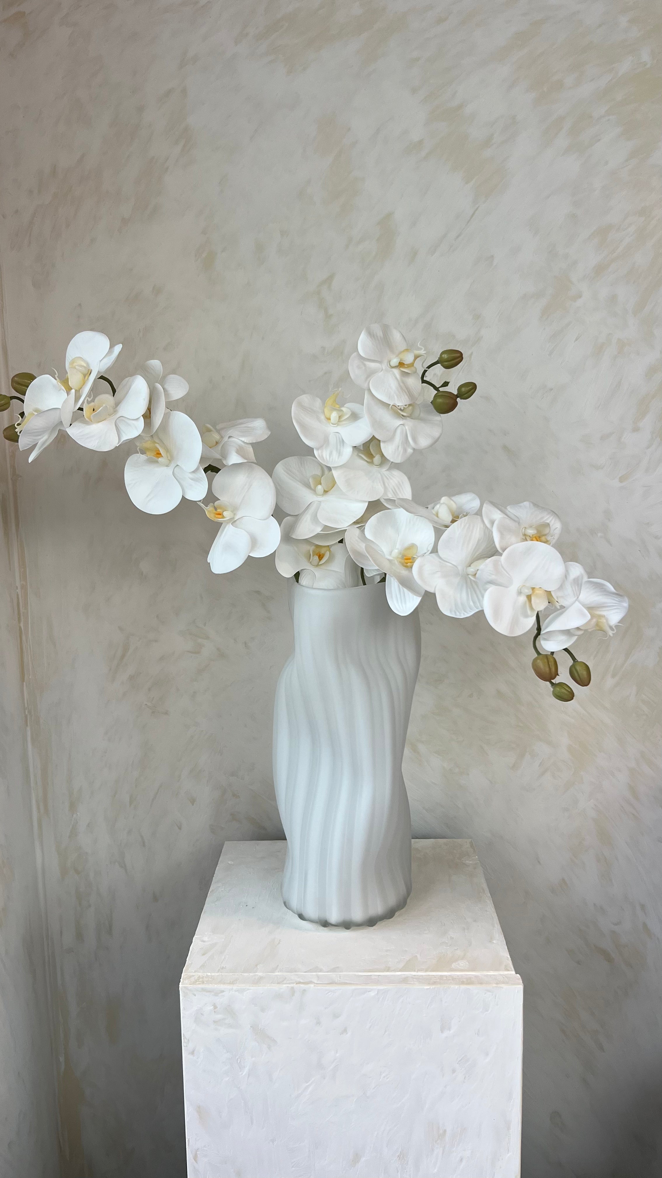 סידור סחלבים לבנים