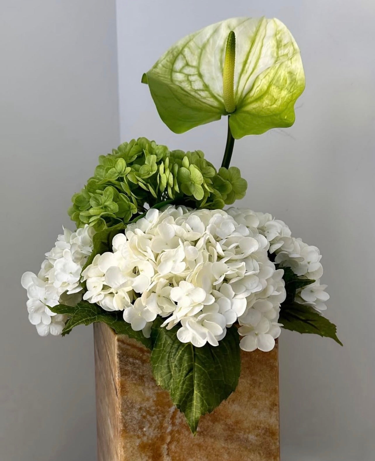 חלום ירוק ולבן