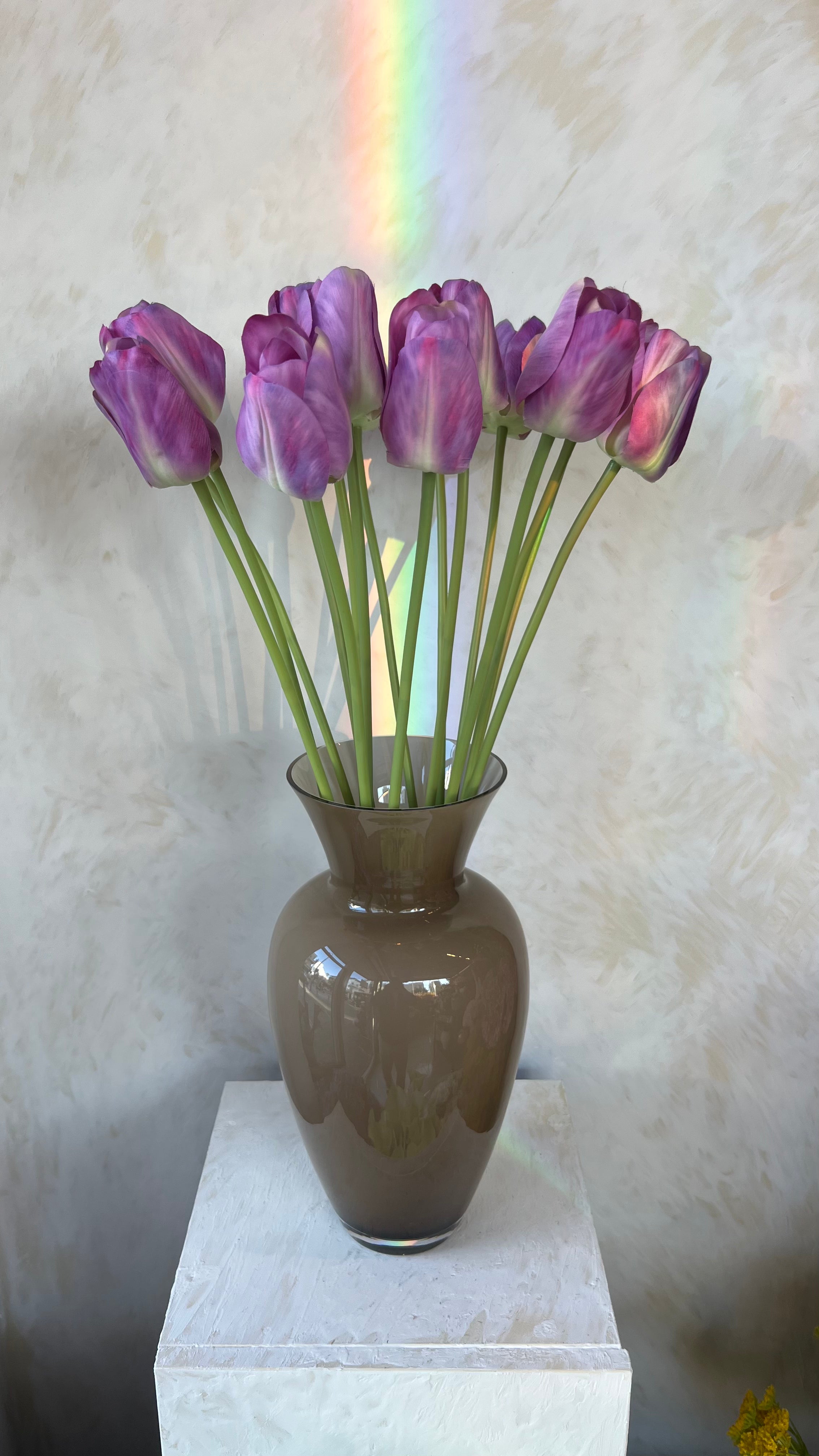 גבעול צבעוני טוליפ סגול 61 ס"מ