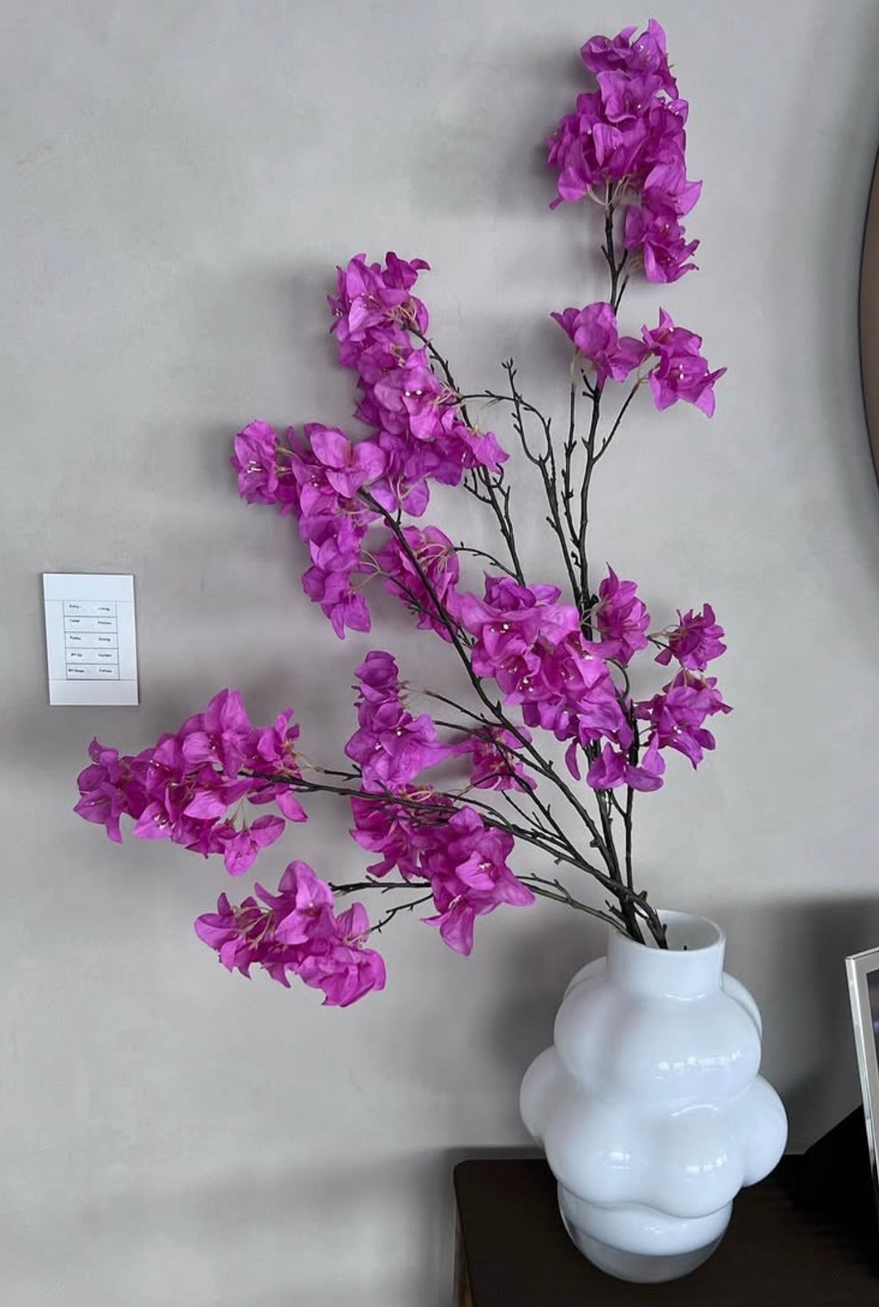 ‏ בוגנוויליות ורודות