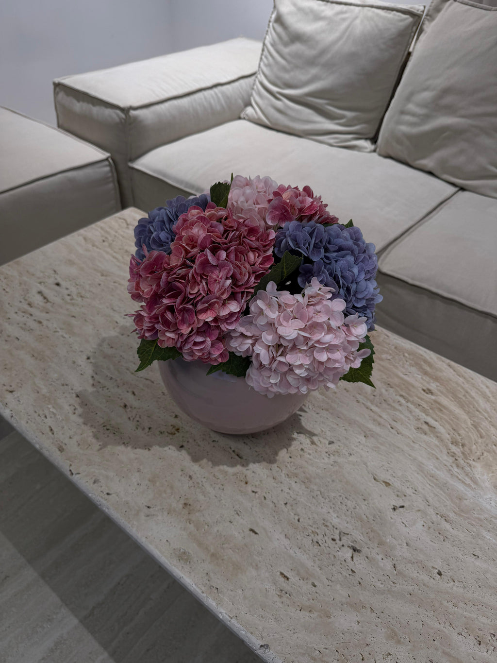 סגול ורוד ופוקסיה