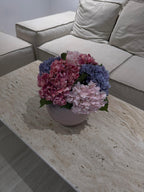 סגול ורוד ופוקסיה