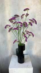 גבעול פריחה סגול