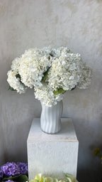גבעול הורטנזיה לבן 55 ס"מ