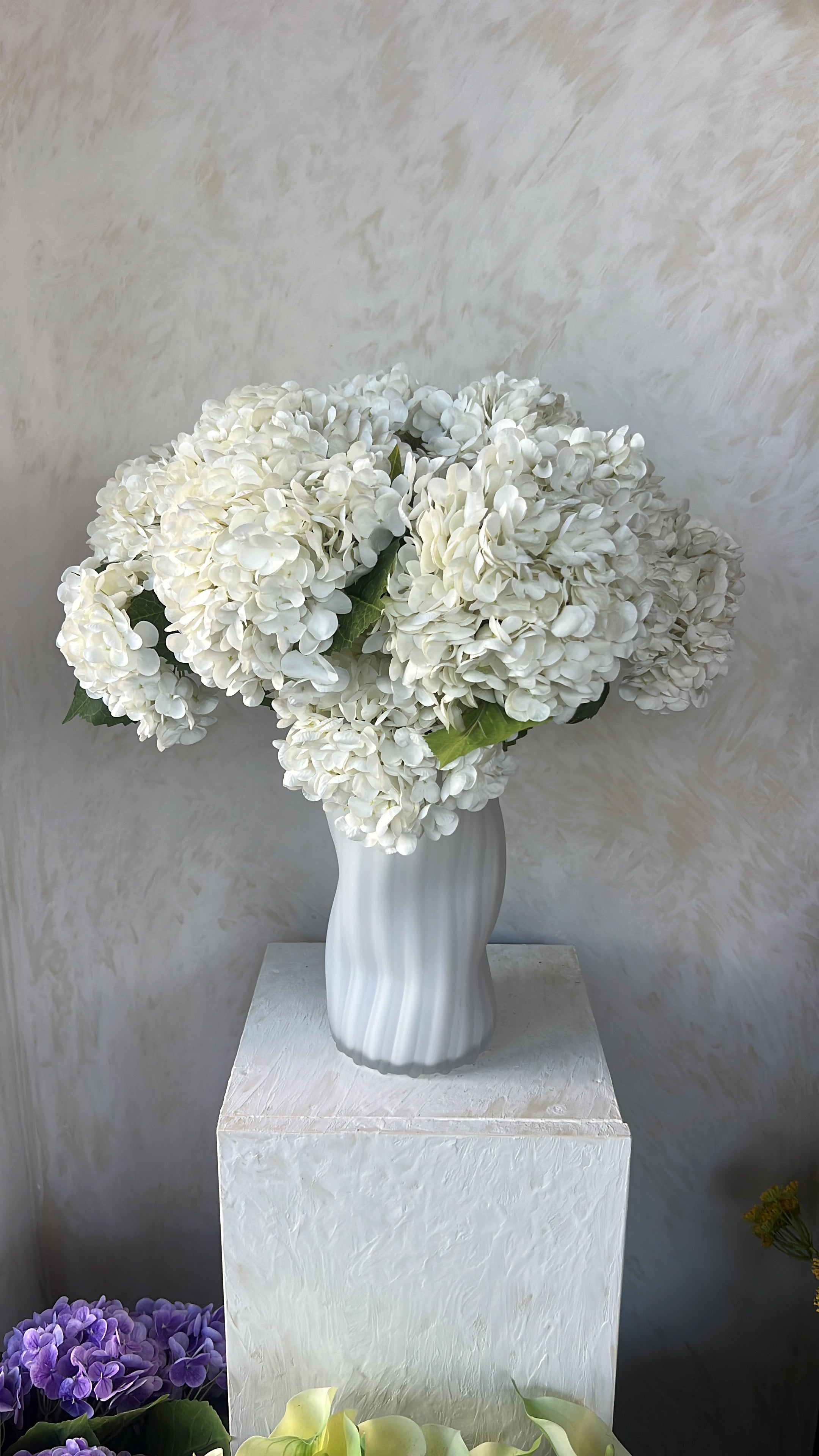 גבעול הורטנזיה לבן 55 ס"מ