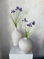 איריס סגול 50 ס"מ