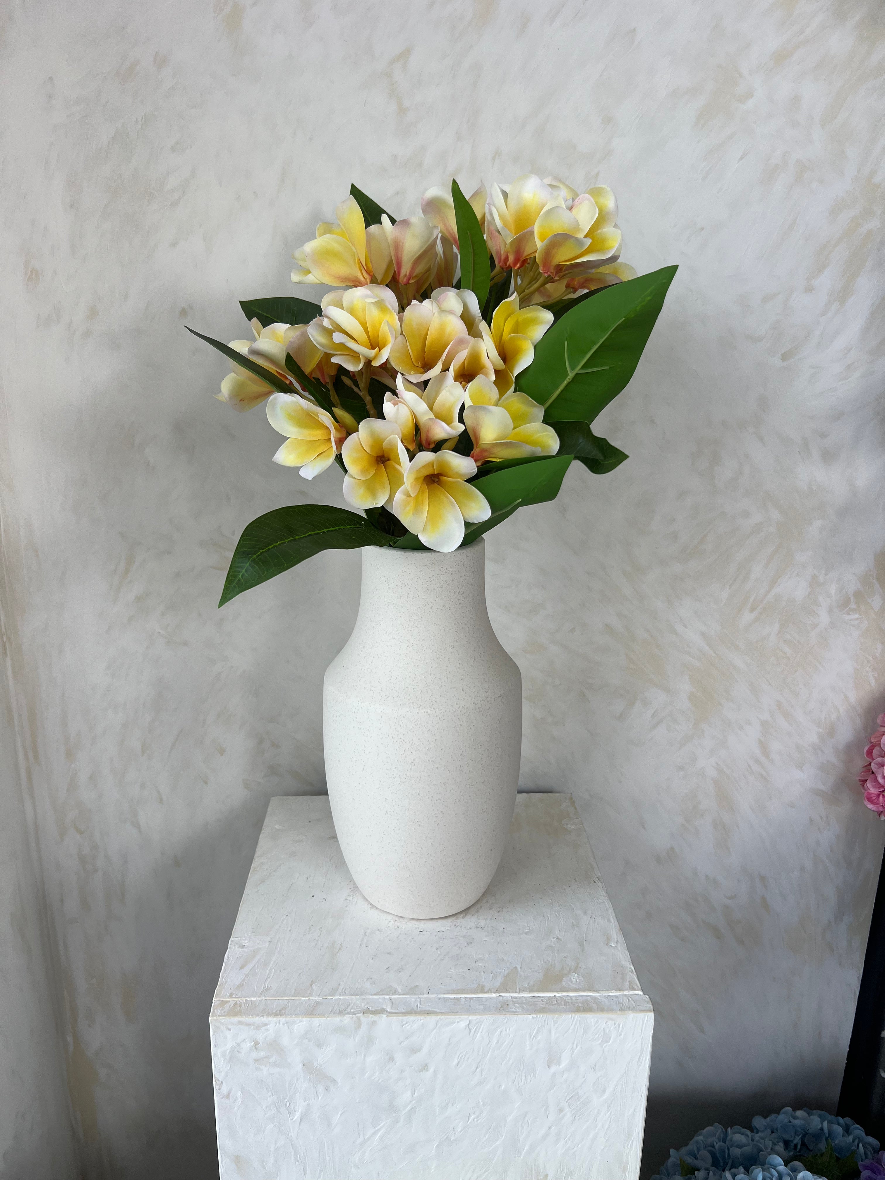 פלומריה פיטנה צהובה 81 ס"מ