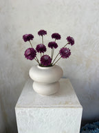 אגרטל אובלי קטן 17 ס״מ