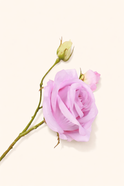 ורד לילך 55 ס״מ