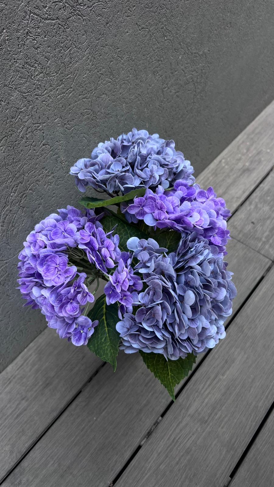 ארבע הורטנזיות סגולות