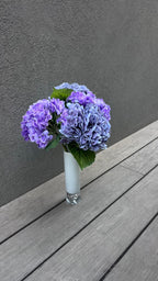 ארבע הורטנזיות סגולות