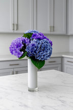 ארבע הורטנזיות סגולות