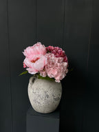 אדמוניות והורטנזיות