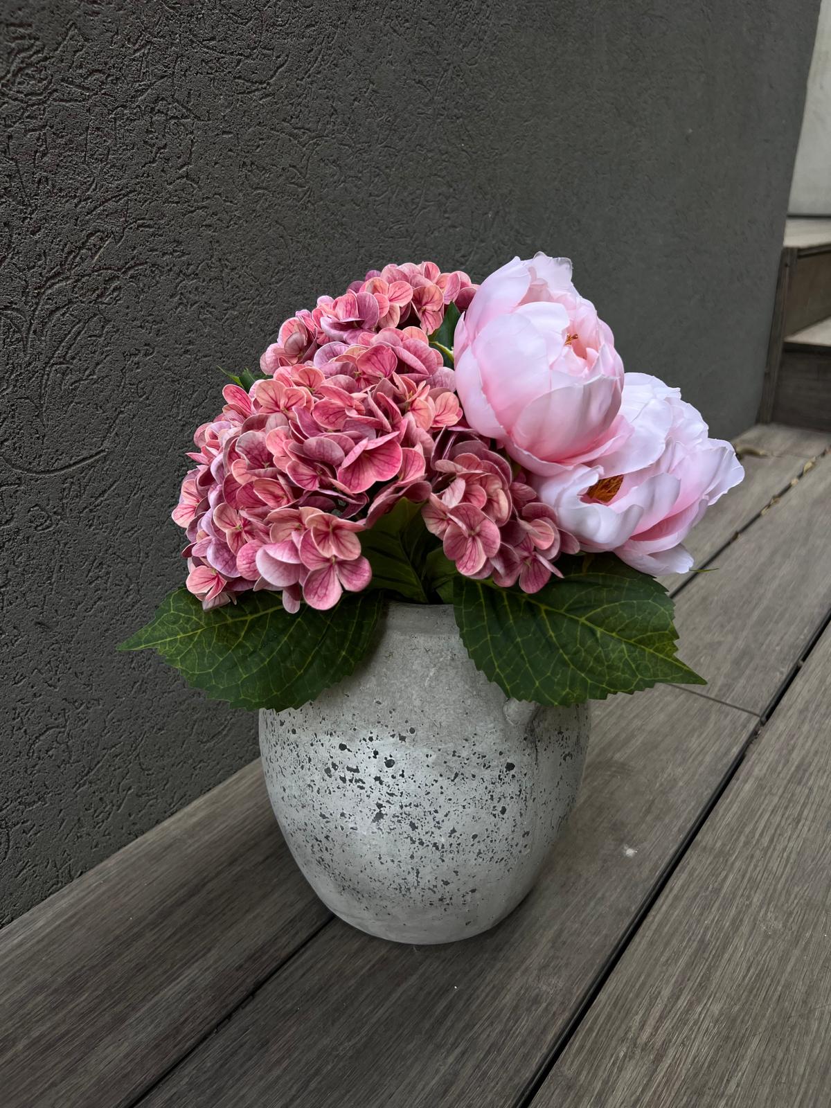 אדמוניות והורטנזיות