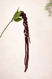 ענף נשפך בורדו