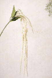 ענף נשפך לבן