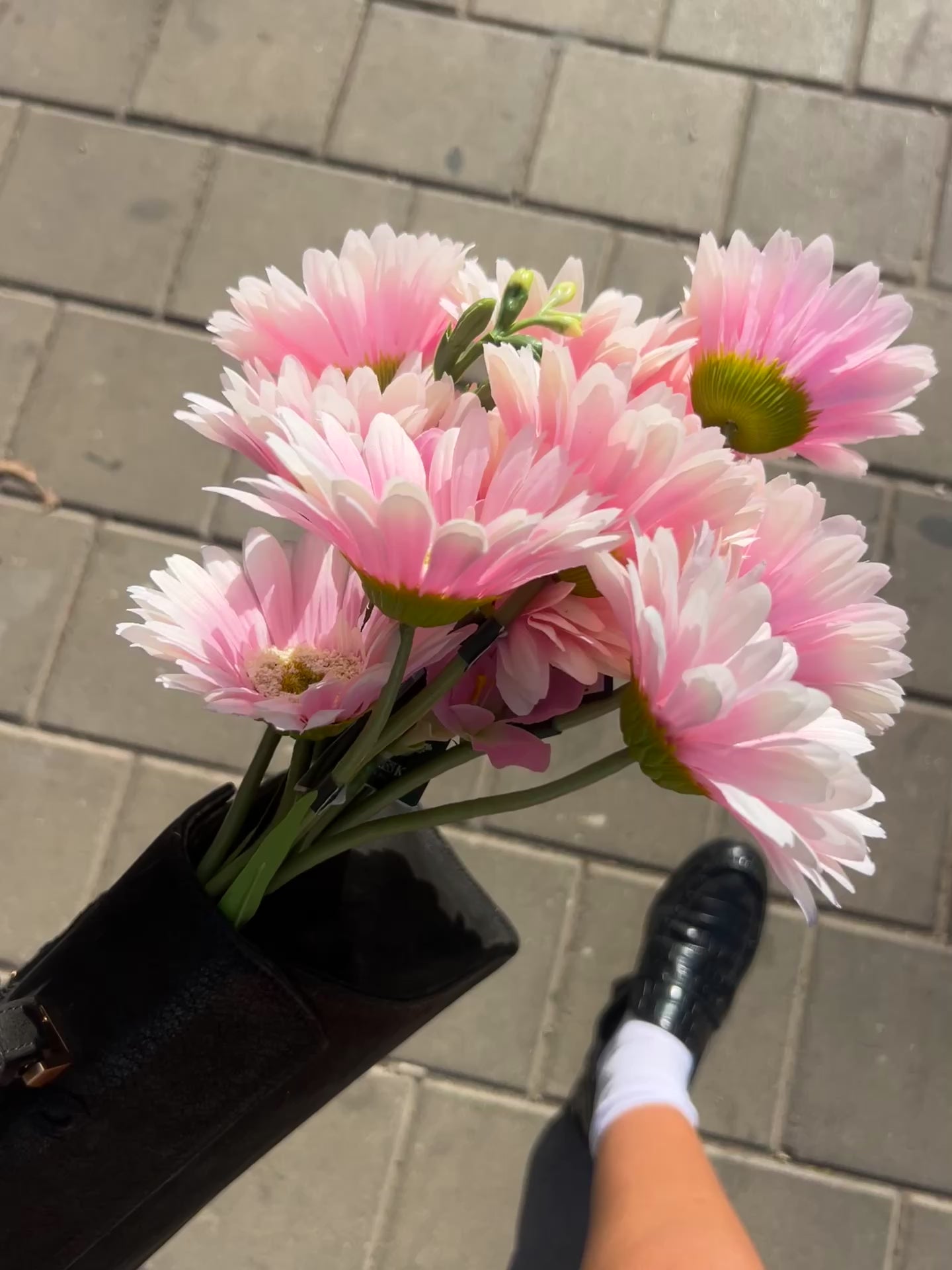 טען וידאו: גרברות ורודות