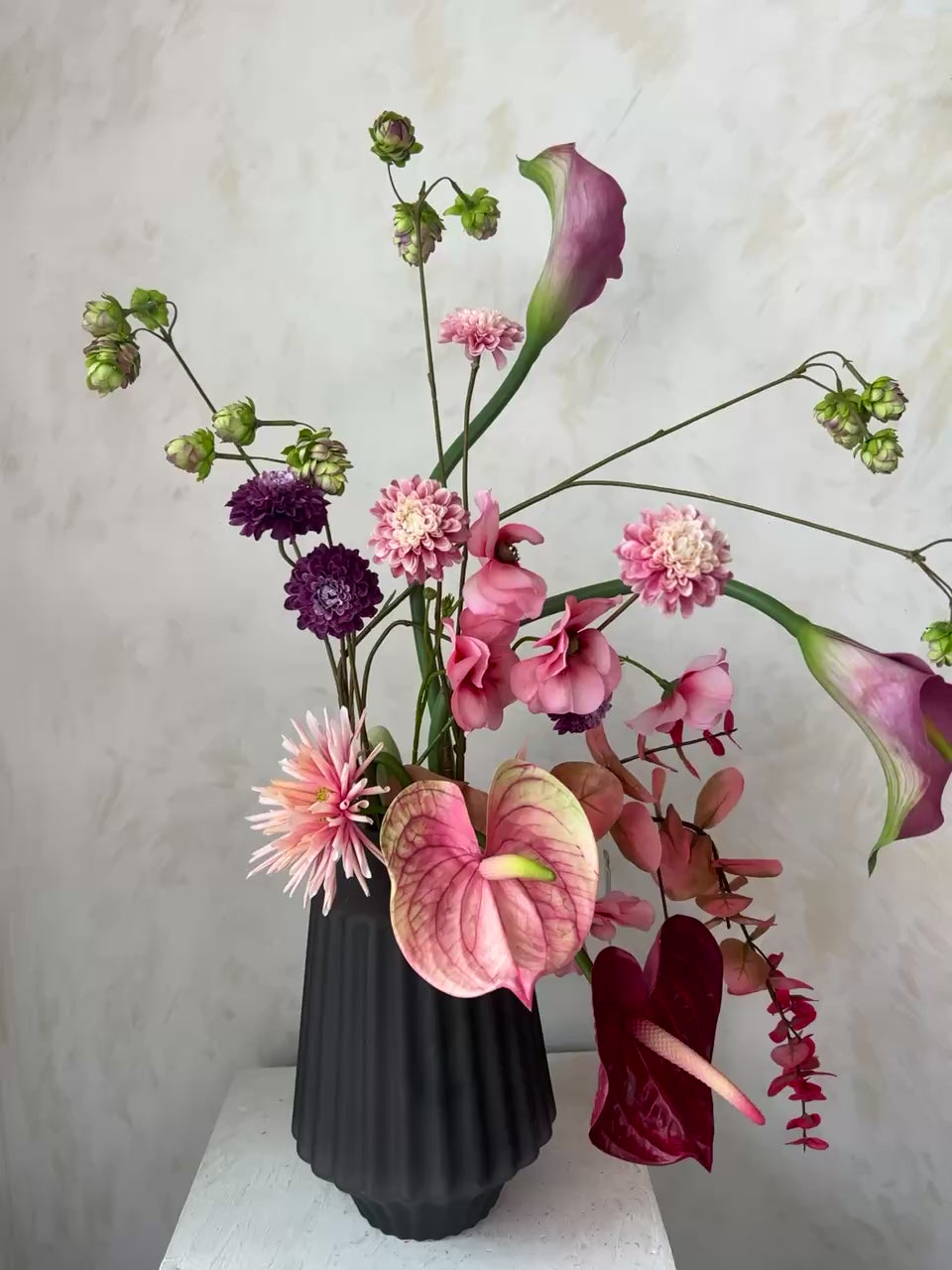 הרמוניה ורודה