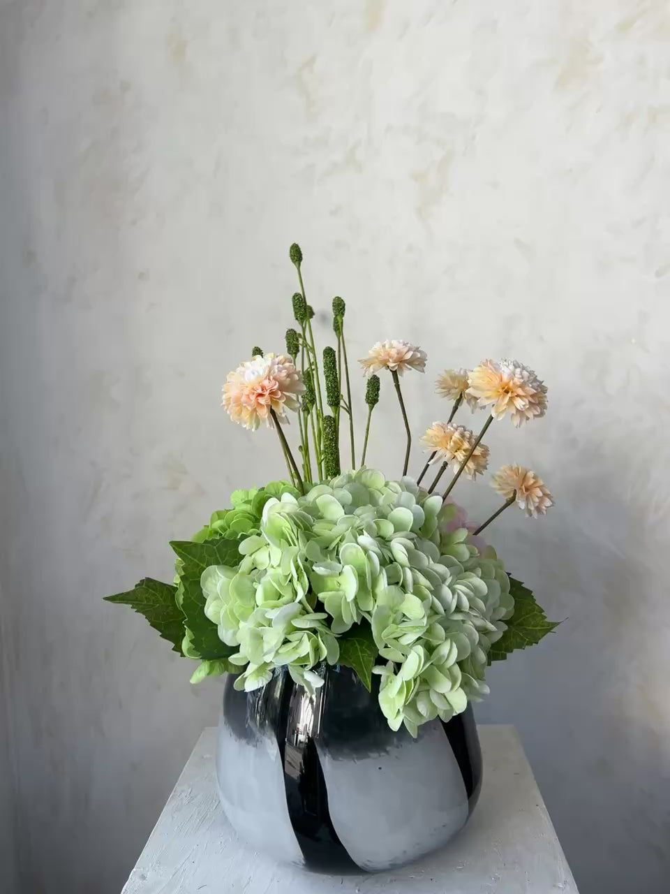 עדינות קטנה