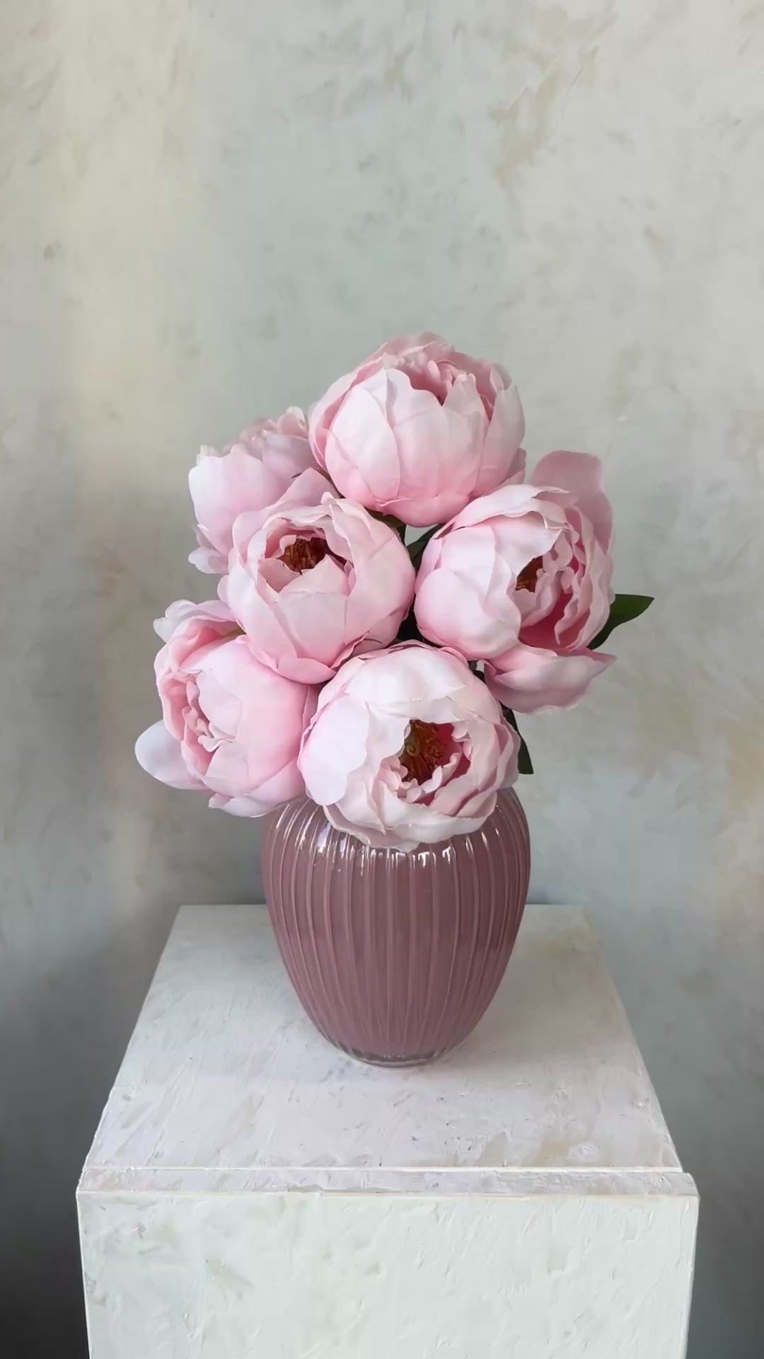 שש אדמוניות