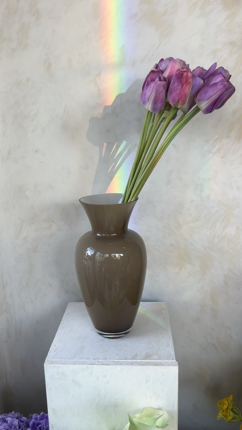 גבעול צבעוני טוליפ סגול 61 ס"מ