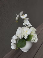 לבן מכל הלב