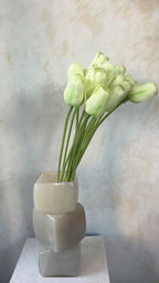 גבעול צבעוני טוליפ לבן 61 ס"מ