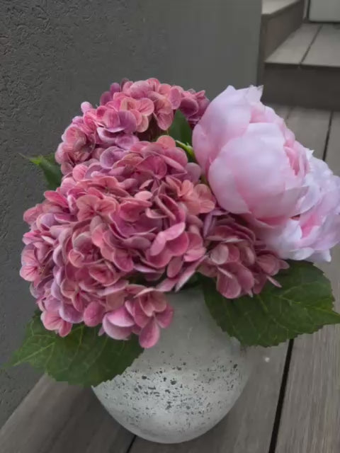 אדמוניות והורטנזיות