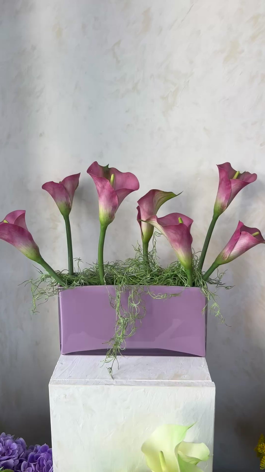 קאלות סגולות