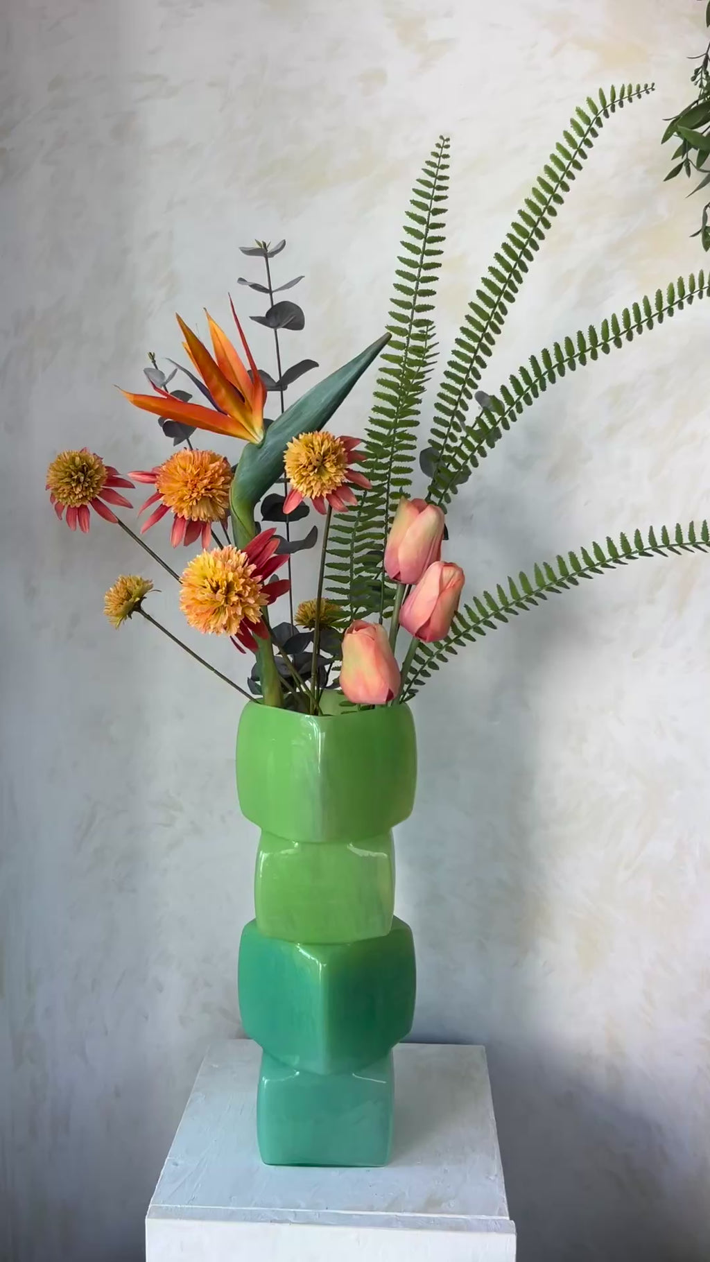 ג׳ונגל פרטי