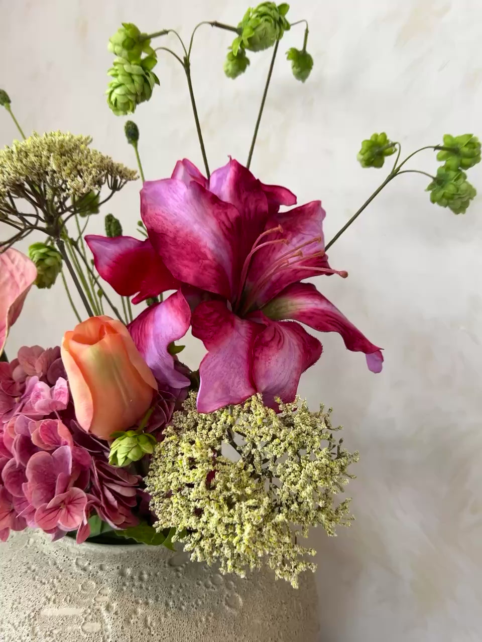 טען וידאו: ורד רוזה אקסקלוסיב